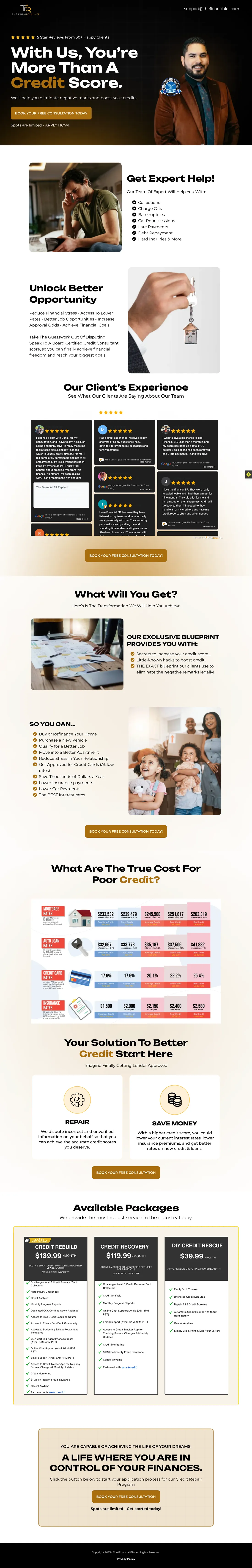 The Financialer complete original full-page screenshot